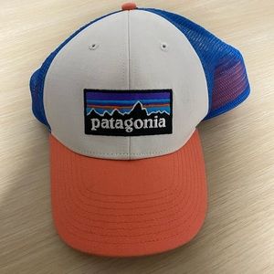 Patagonia trucker hat